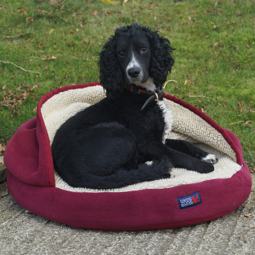 Fern snuggery shop hooded dog bed