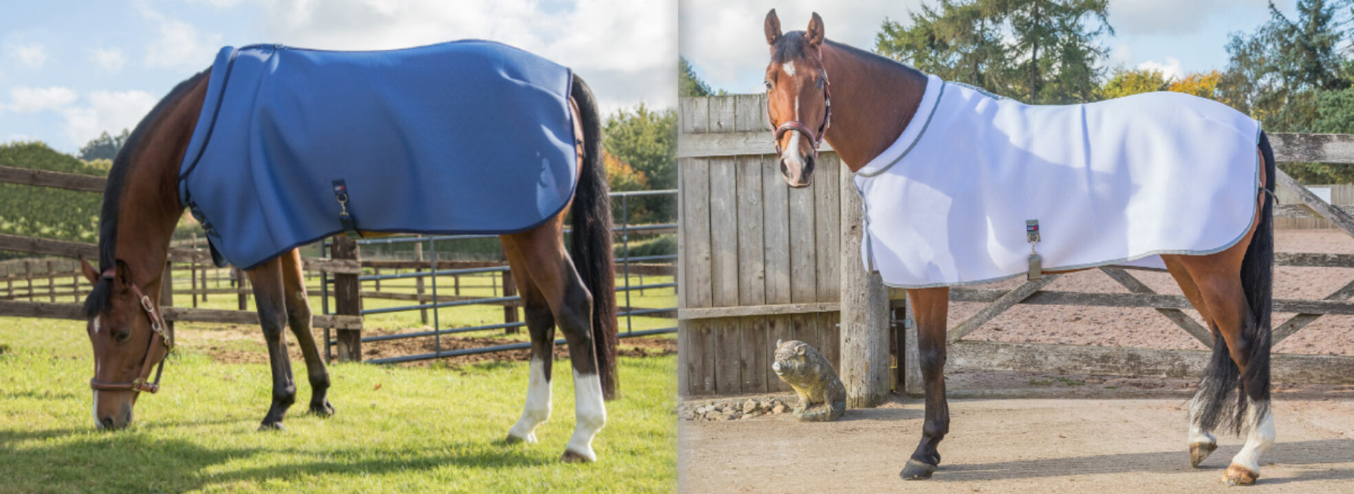 Comfort Zone Equestrian - British Made, Luxurious Products.