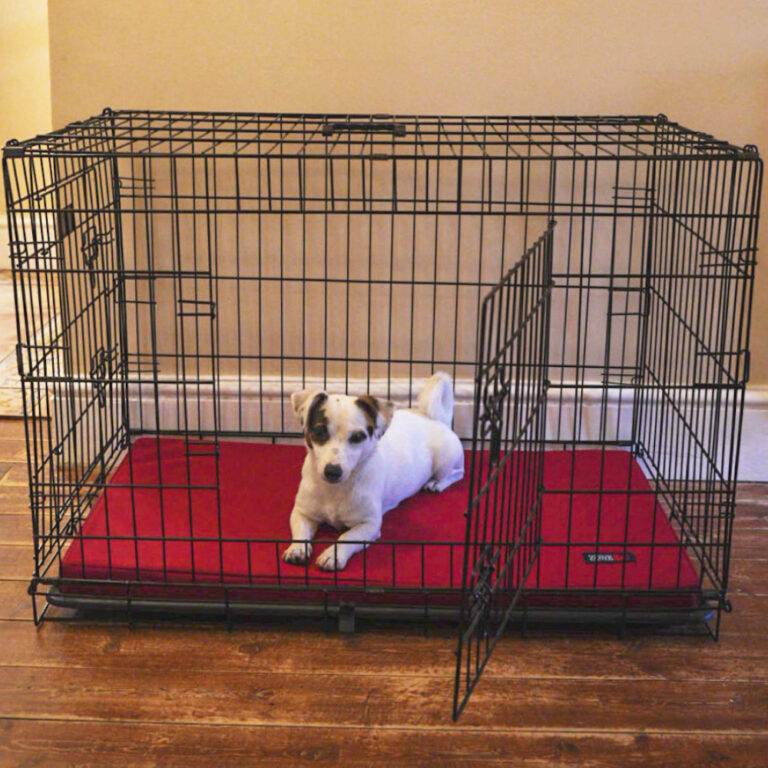 Image showcasing Comfort Zone Heavy Duty Dog Crate Bed - Comfort Zone Equestrian