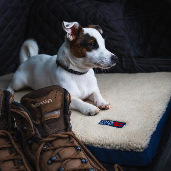 Best Soft Dog Crate With Sherpa Bed Reference: Comfort Zone Sherpa Fleece Dog Crate Bed